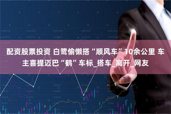 配资股票投资 白鹭偷懒搭“顺风车”10余公里 车主喜提迈巴“鹤”车标_搭车_离开_网友