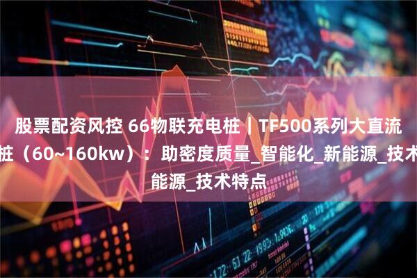股票配资风控 66物联充电桩｜TF500系列大直流充电桩（60~160kw）：助密度质量_智能化_新能源_技术特点